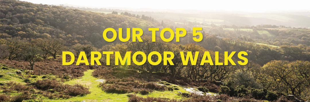 Top 5 Dartmoor Walks - dewerstone