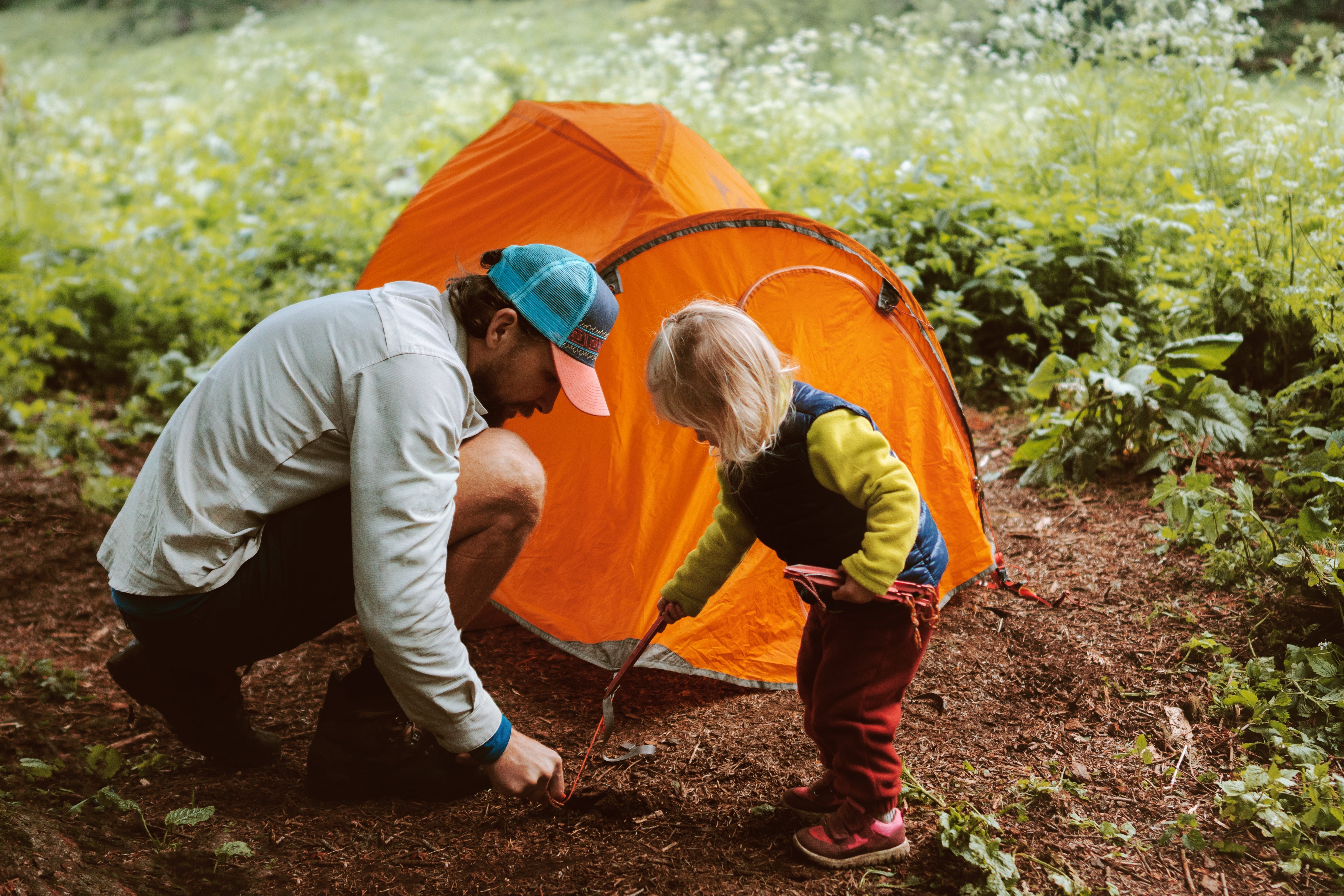 Victory on Dartmoor: Supreme Court Confirms Right to Wild Camp