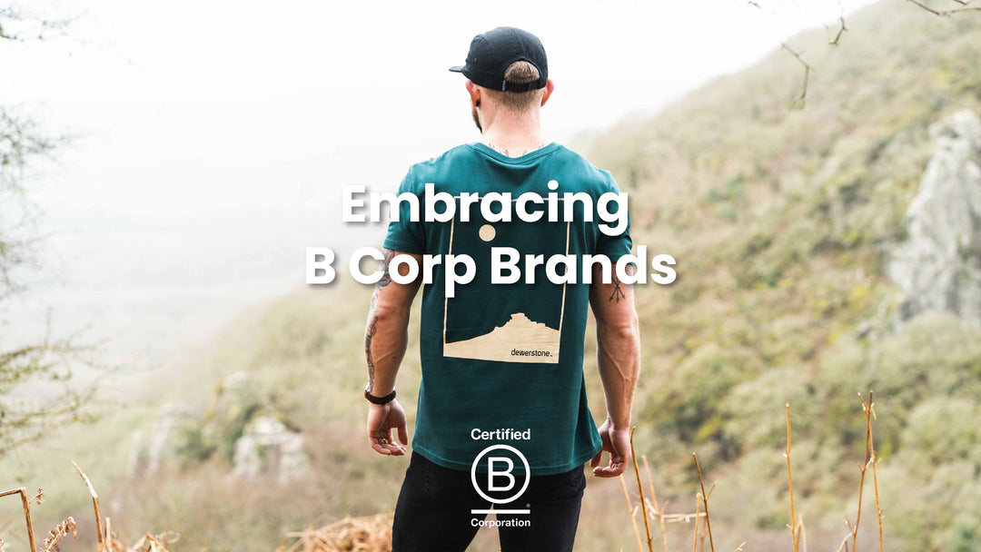 Embracing B Corp Brands: A Force for Good in Business - dewerstone