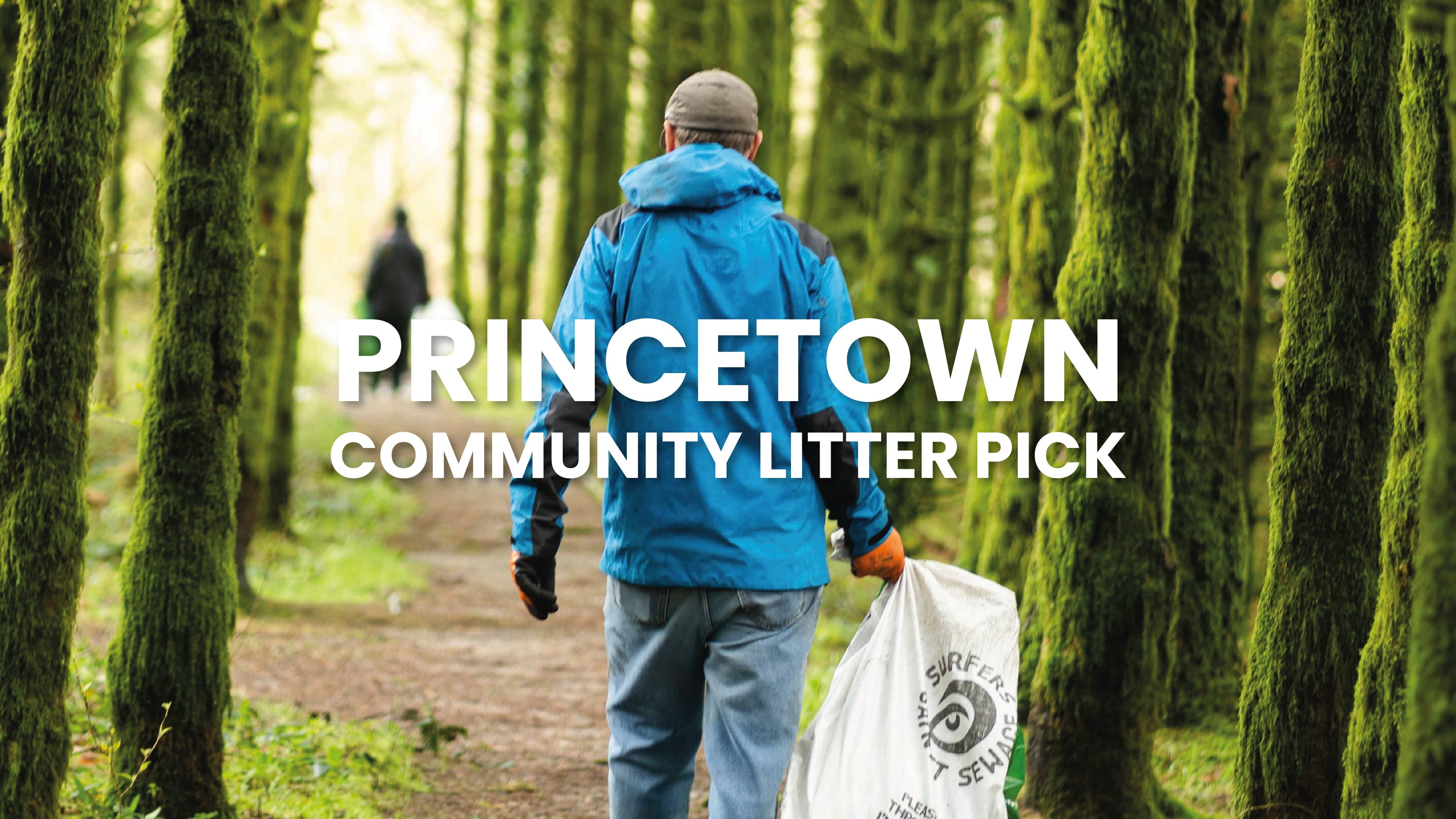 Princetown Community Litter Pick - dewerstone