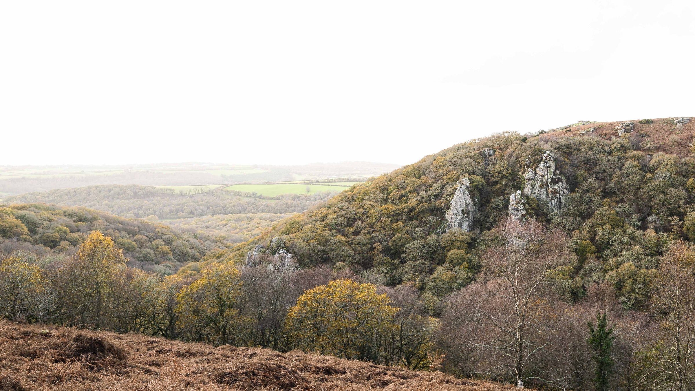 Dewerstone Woods, Shaugh Prior, Dartmoor National Park, Devon, United Kingdom